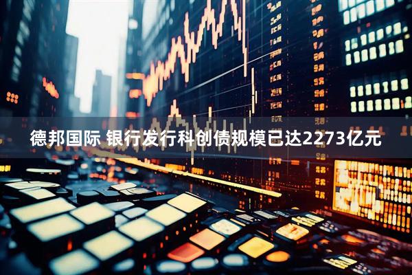 德邦国际 银行发行科创债规模已达2273亿元