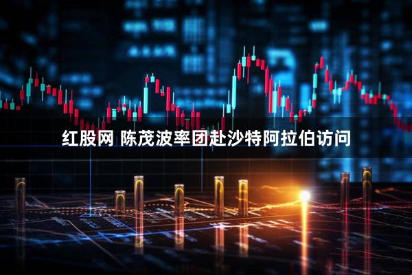 红股网 陈茂波率团赴沙特阿拉伯访问